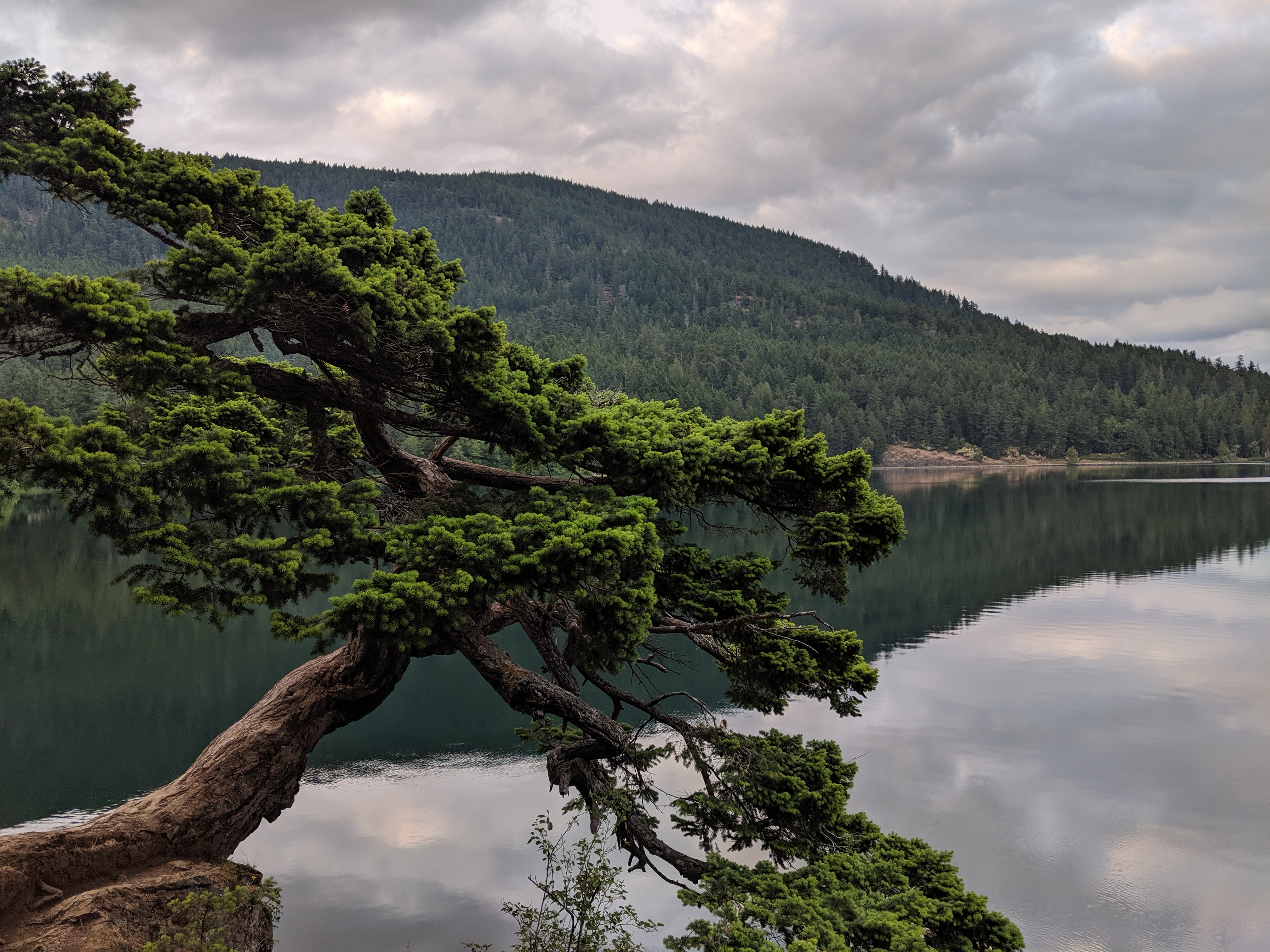 Lake in Scotland